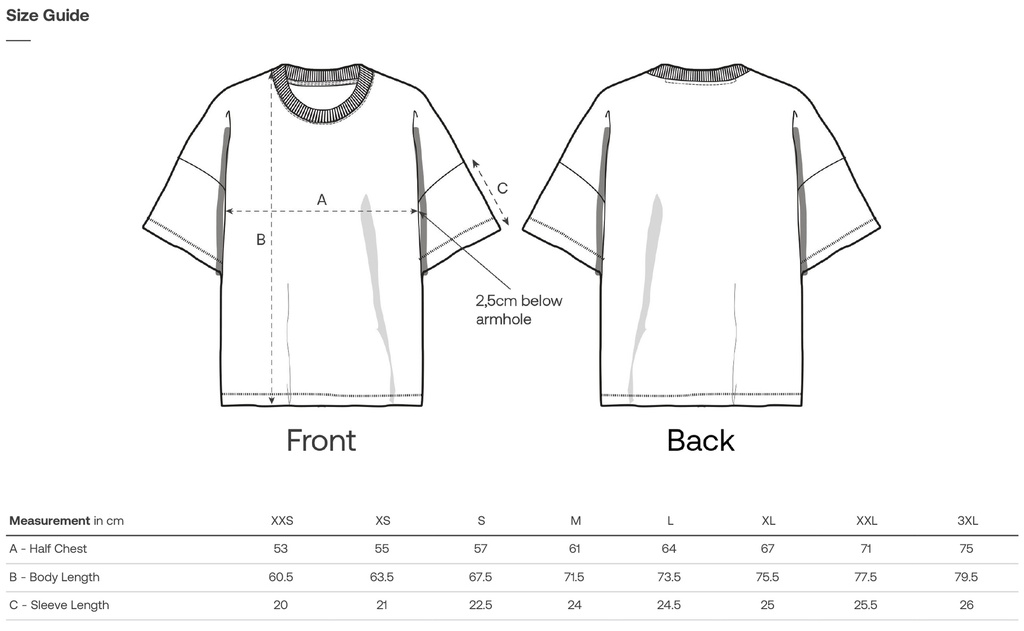 Aiaraldea Palestina kamiseta (BAZKIDE)